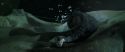 CS-Potterish_09124.jpg
