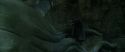 CS-Potterish_09125.jpg