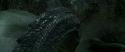 CS-Potterish_09127.jpg