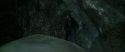 CS-Potterish_09129.jpg