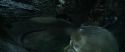 CS-Potterish_09132.jpg