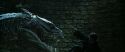 CS-Potterish_09139.jpg