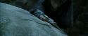 CS-Potterish_09156.jpg