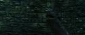 CS-Potterish_09172.jpg