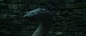 CS-Potterish_09174.jpg