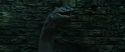CS-Potterish_09175.jpg