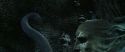 CS-Potterish_09179.jpg