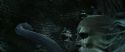 CS-Potterish_09180.jpg