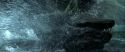 CS-Potterish_09188.jpg