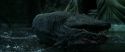 CS-Potterish_09189.jpg
