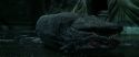 CS-Potterish_09190.jpg