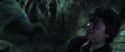 CS-Potterish_09212.jpg