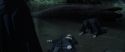 CS-Potterish_09224.jpg