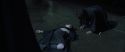 CS-Potterish_09227.jpg