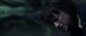 CS-Potterish_09238.jpg