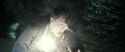 CS-Potterish_09282.jpg