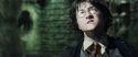 CS-Potterish_09295.jpg