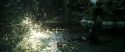 CS-Potterish_09307.jpg