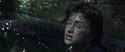 CS-Potterish_09309.jpg
