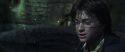 CS-Potterish_09311.jpg