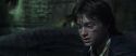 CS-Potterish_09312.jpg