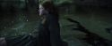 CS-Potterish_09322.jpg