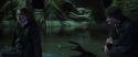CS-Potterish_09326.jpg