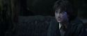 CS-Potterish_09345.jpg