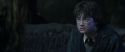 CS-Potterish_09346.jpg