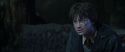 CS-Potterish_09347.jpg
