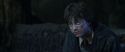 CS-Potterish_09349.jpg