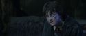CS-Potterish_09350.jpg