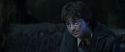 CS-Potterish_09351.jpg
