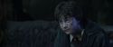 CS-Potterish_09352.jpg
