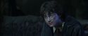CS-Potterish_09353.jpg