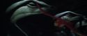 CS-Potterish_09357.jpg