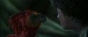 CS-Potterish_09367.jpg