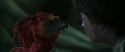 CS-Potterish_09369.jpg
