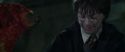 CS-Potterish_09402.jpg