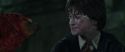 CS-Potterish_09406.jpg
