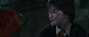 CS-Potterish_09407.jpg