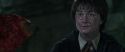 CS-Potterish_09408.jpg