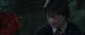CS-Potterish_09414.jpg