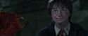 CS-Potterish_09415.jpg