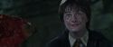 CS-Potterish_09416.jpg