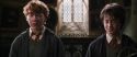 CS-Potterish_09458.jpg