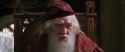 CS-Potterish_09467.jpg