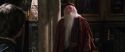 CS-Potterish_09497.jpg