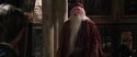 CS-Potterish_09498.jpg