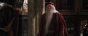 CS-Potterish_09499.jpg